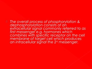 

The overall process of phosphorylation &
dephosphorylation consists of an
extracellular signal commonly referred to as
first messenger e.g. hormones which
combines with specific receptor on the cell
membrane of target cell which produces
an intracellular signal the 2nd messenger.

 