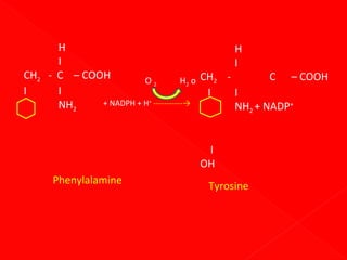 H
H
I
I
CH2 - C – COOH
C – COOH
O2
H2 o CH2 I
I
I
I
+ NADPH + H+ -----------→
NH2
NH2 + NADP+
I
OH
Phenylalamine

Tyrosine

 