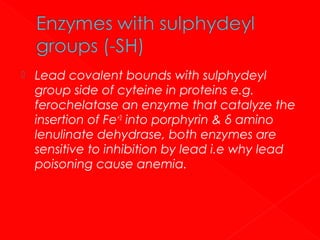 

Lead covalent bounds with sulphydeyl
group side of cyteine in proteins e.g.
ferochelatase an enzyme that catalyze the
insertion of Fe+2 into porphyrin & δ amino
lenulinate dehydrase, both enzymes are
sensitive to inhibition by lead i.e why lead
poisoning cause anemia.

 