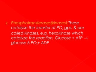 2.

Phosphotransferases(kinases):These
catalyse the transfer of PO4 gps. & are
called kinases. e.g. hexokinase which
catalyze the reaction, Glucose + ATP →
glucose 6 PO4+ ADP

 