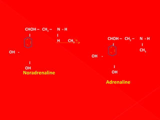 CHOH – CH2 –
I

OH -

N -H
I
H
CH3

CHOH – CH2 –
I
OH -

I
OH

Noradrenaline

I
OH

Adrenaline

N -H
I
CH3

 
