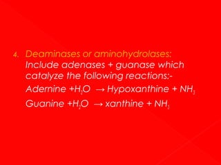 4.

Deaminases or aminohydrolases:
Include adenases + guanase which
catalyze the following reactions:Adernine +H2O → Hypoxanthine + NH3
Guanine +H2O → xanthine + NH3

 