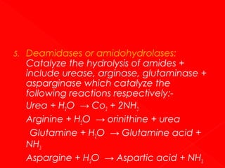 5.

Deamidases or amidohydrolases:
Catalyze the hydrolysis of amides +
include urease, arginase, glutaminase +
asparginase which catalyze the
following reactions respectively:Urea + H2O → Co2 + 2NH3
Arginine + H2O → orinithine + urea
Glutamine + H2O → Glutamine acid +
NH3
Aspargine + H2O → Aspartic acid + NH3

 