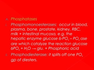 A.
i.

ii.

Phosphatases
Phosphomonoesterases: occur in blood,
plasma, bone, prostate, kidney, RBC,
milk + intestinal mucosa, e.g. the
hepatic enzyme glucose 6-PO4 – PO4 ase
are which catalyze the reaction glucose
6PO4 + H2O → glu. + Phosphoric acid
Phosphodiesterase: it splits off one PO4
gp of diesters.

 