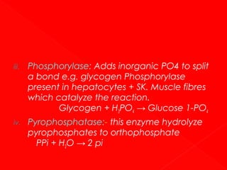 iii.

Phosphorylase: Adds inorganic PO4 to split
a bond e.g. glycogen Phosphorylase
present in hepatocytes + SK. Muscle fibres
which catalyze the reaction.
Glycogen + H3PO4 → Glucose 1-PO4

iv.

Pyrophosphatase:- this enzyme hydrolyze
pyrophosphates to orthophosphate
PPi + H2O → 2 pi

 