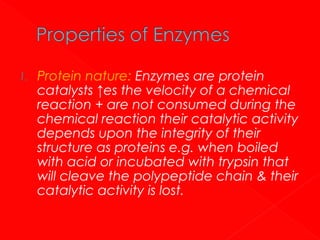 1.

Protein nature: Enzymes are protein
catalysts ↑es the velocity of a chemical
reaction + are not consumed during the
chemical reaction their catalytic activity
depends upon the integrity of their
structure as proteins e.g. when boiled
with acid or incubated with trypsin that
will cleave the polypeptide chain & their
catalytic activity is lost.

 