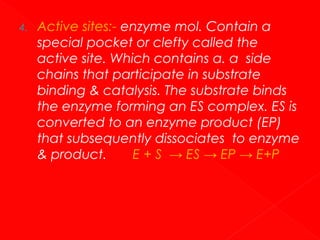 4.

Active sites:- enzyme mol. Contain a
special pocket or clefty called the
active site. Which contains α. α side
chains that participate in substrate
binding & catalysis. The substrate binds
the enzyme forming an ES complex. ES is
converted to an enzyme product (EP)
that subsequently dissociates to enzyme
& product.
E + S → ES → EP → E+P

 