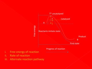 T* uncatalyzed
T

Catalysed

Free energy

A
Reactants imitate state
Product
B
Find state

i. Free energy of reaction
ii. Rate of reaction
iii. Alternate reaction pathway

Progress of reaction

 