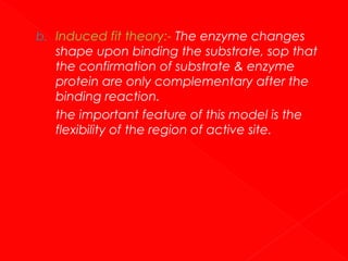 b. Induced fit theory:- The enzyme changes

shape upon binding the substrate, sop that
the confirmation of substrate & enzyme
protein are only complementary after the
binding reaction.
the important feature of this model is the
flexibility of the region of active site.

 