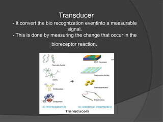 Transducer
- It convert the bio recognization eventinto a measurable
signal.
- This is done by measuring the change that occur in the
bioreceptor reaction.
 
