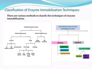 Enzyme biotechnology- Methods of enzyme immobilization | PPTX
