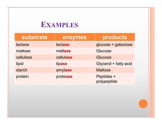 Enzyme Pg Enzyme Bsc II Sem Zoology. MLK PG C .pdf