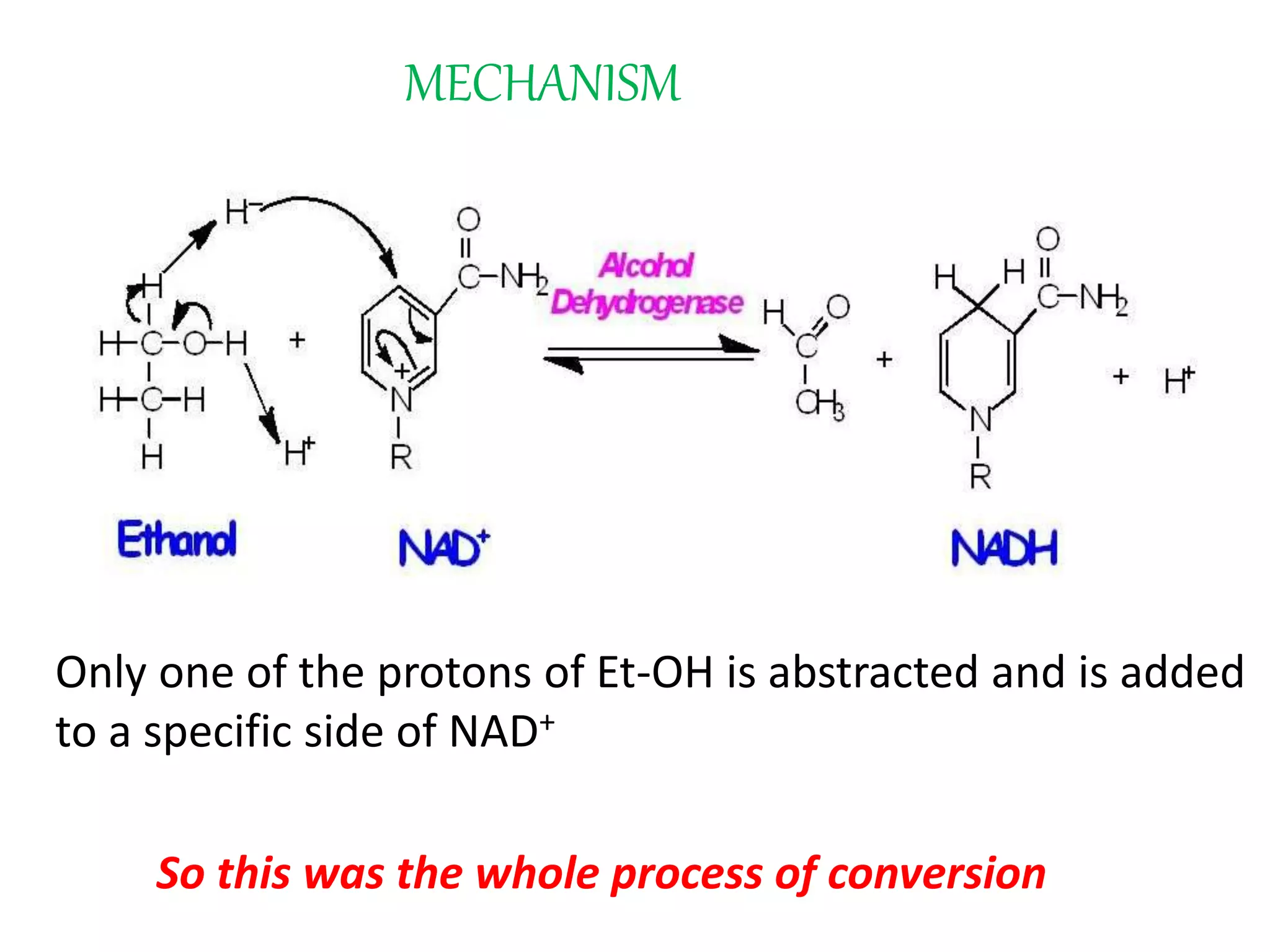 MECHANISM
Only one of the protons of Et-OH is abstracted and is added
to a specific side of NAD+
So this was the whole process of conversion
 