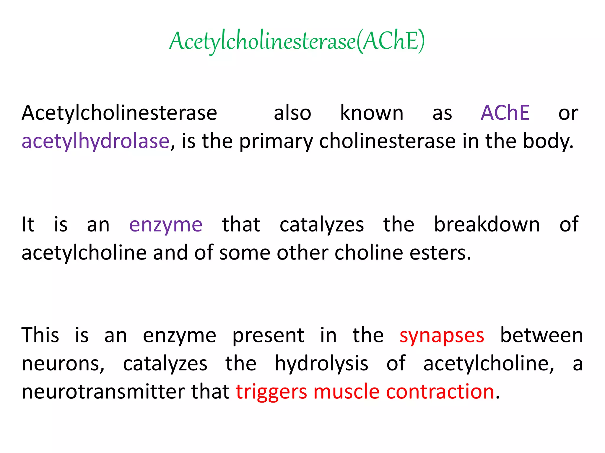 Acetylcholinesterase(AChE)
Acetylcholinesterase also known as AChE or
acetylhydrolase, is the primary cholinesterase in the body.
This is an enzyme present in the synapses between
neurons, catalyzes the hydrolysis of acetylcholine, a
neurotransmitter that triggers muscle contraction.
It is an enzyme that catalyzes the breakdown of
acetylcholine and of some other choline esters.
 