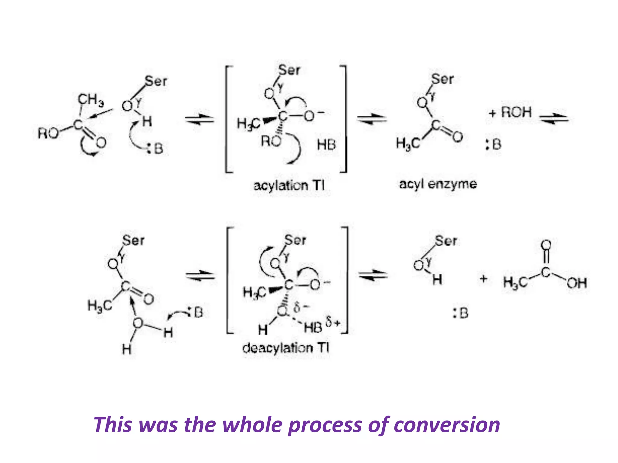 This was the whole process of conversion
 