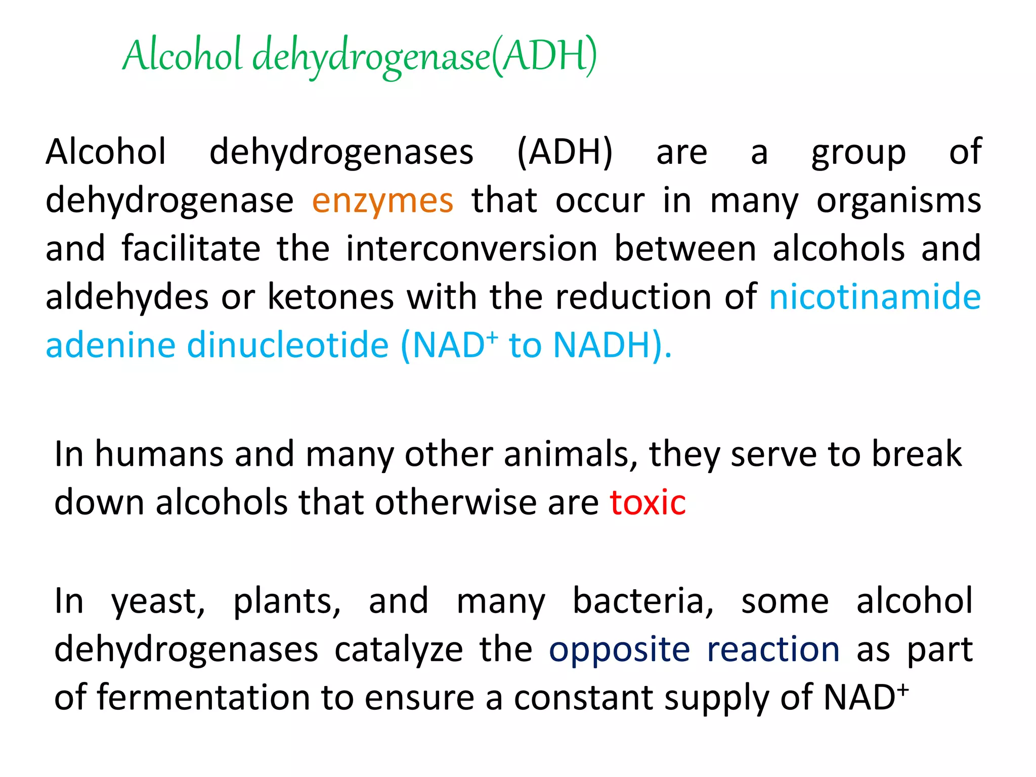 Alcohol dehydrogenase(ADH)
Alcohol dehydrogenases (ADH) are a group of
dehydrogenase enzymes that occur in many organisms
and facilitate the interconversion between alcohols and
aldehydes or ketones with the reduction of nicotinamide
adenine dinucleotide (NAD+ to NADH).
In humans and many other animals, they serve to break
down alcohols that otherwise are toxic
In yeast, plants, and many bacteria, some alcohol
dehydrogenases catalyze the opposite reaction as part
of fermentation to ensure a constant supply of NAD+
 