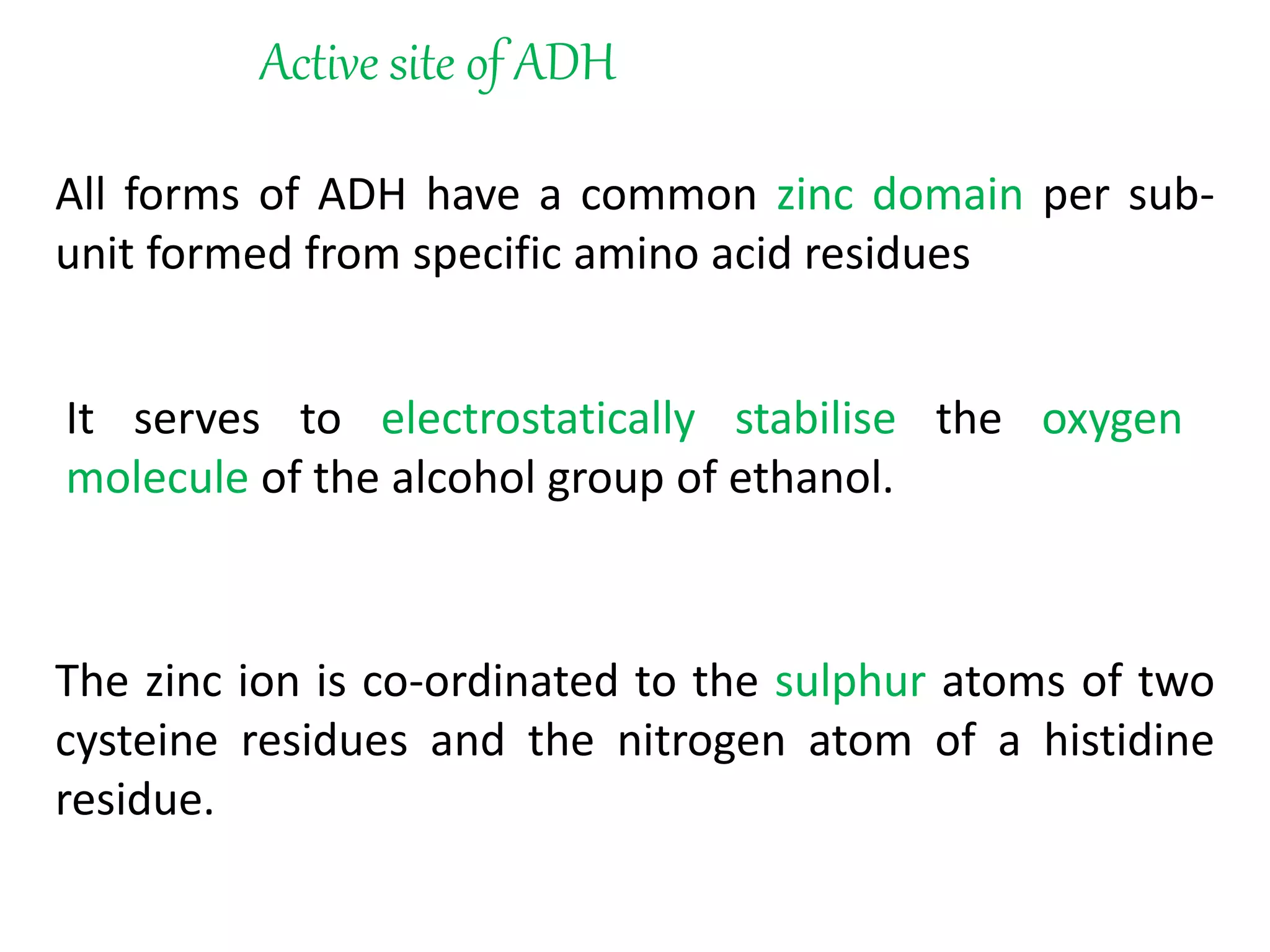 Active site of ADH
All forms of ADH have a common zinc domain per sub-
unit formed from specific amino acid residues
The zinc ion is co-ordinated to the sulphur atoms of two
cysteine residues and the nitrogen atom of a histidine
residue.
It serves to electrostatically stabilise the oxygen
molecule of the alcohol group of ethanol.
 