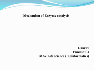 Mechanism of Enzyme catalysis
Gaurav
19mslsbf03
M.Sc Life science (Bioinformatics)
 