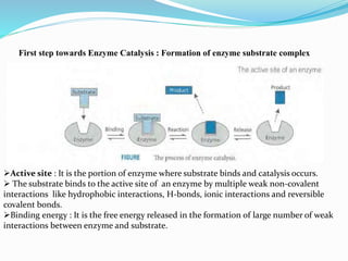 Catalysis Complex Enzyme catalysis | PPTX