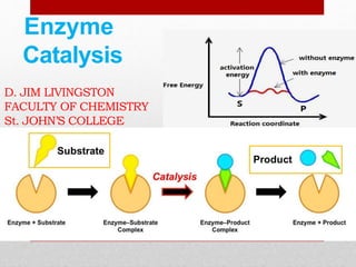 Enzyme
Catalysis
D. JIM LIVINGSTON
FACULTY OF CHEMISTRY
St. JOHN’S COLLEGE
 