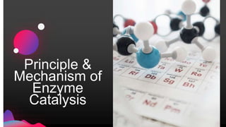 Principle &
Mechanism of
Enzyme
Catalysis
 