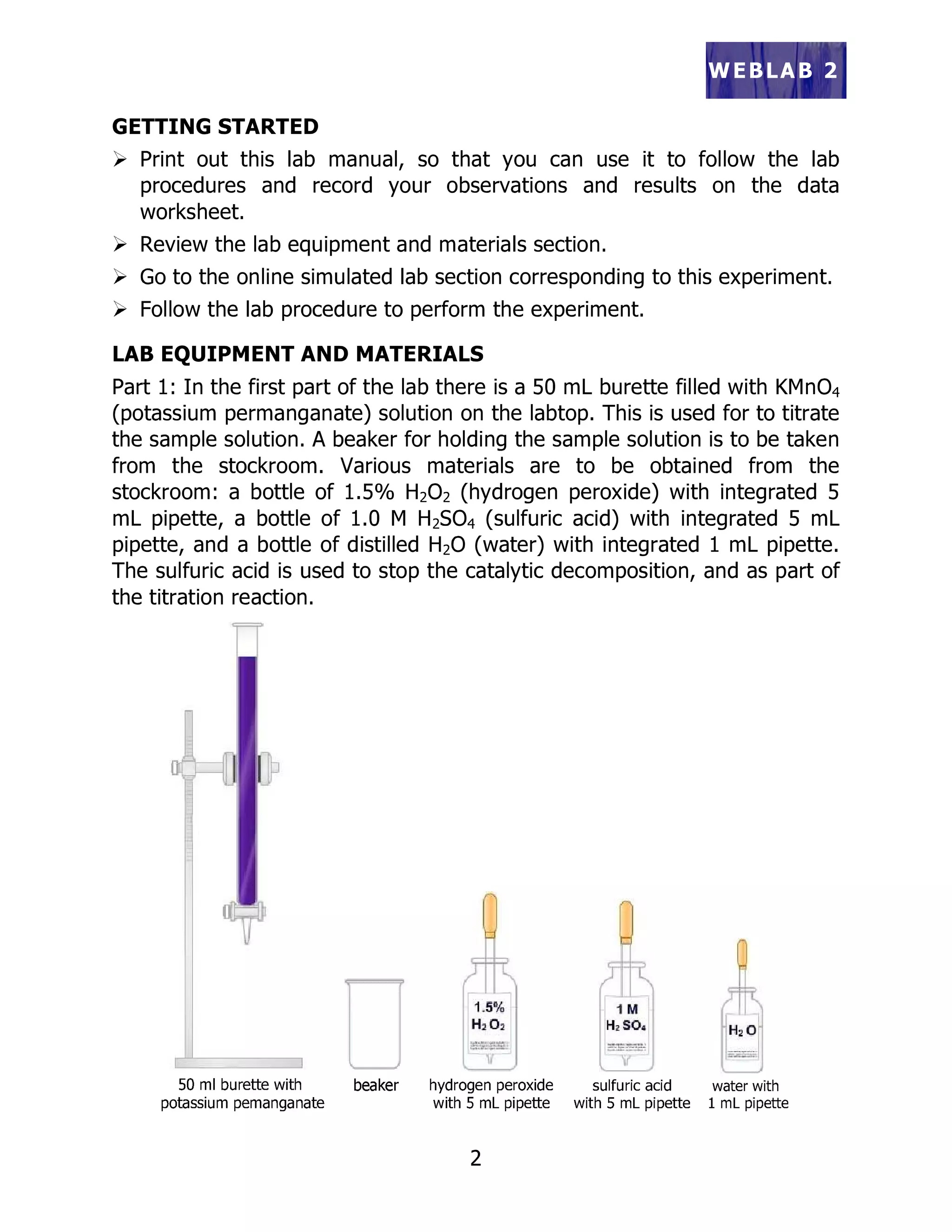 Enzyme catalysis online worksheet | PDF