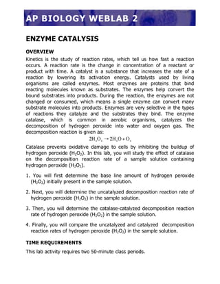 Enzyme catalysis  online worksheet 