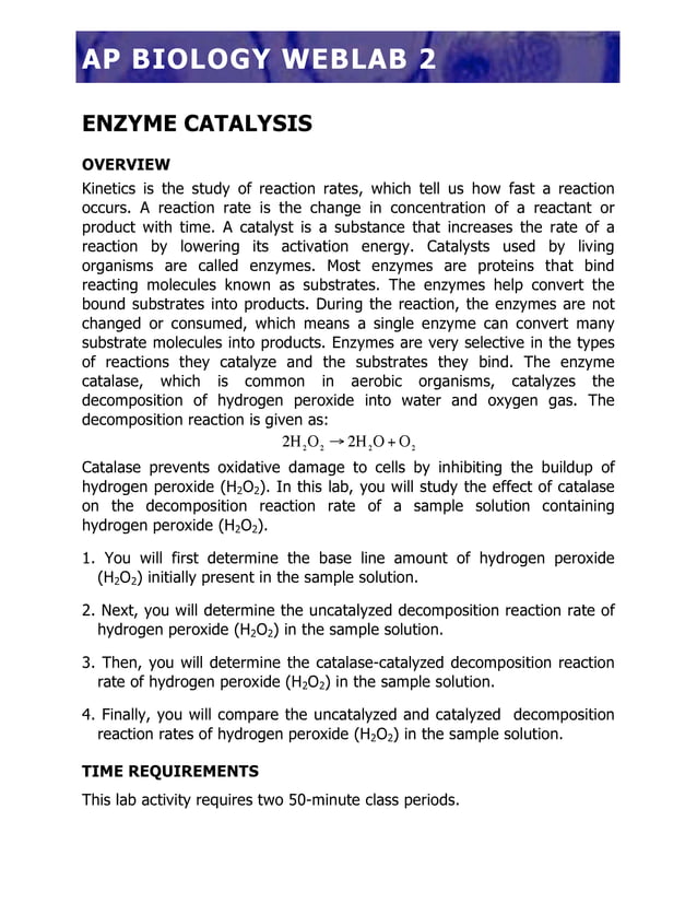 Enzyme catalysis online worksheet PDF