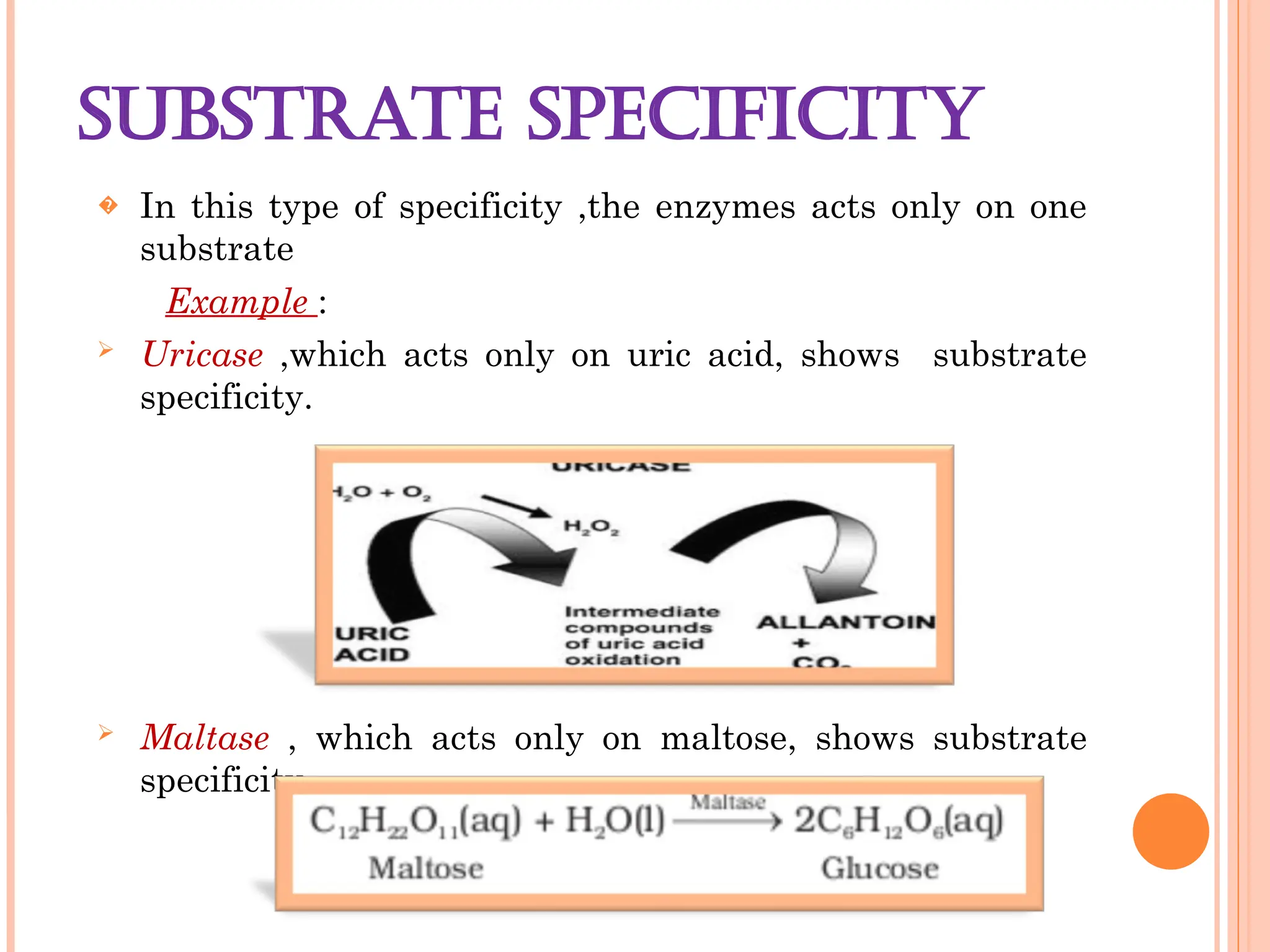 SUBSTRATE SPECIFICITY
� In this type of specificity ,the enzymes acts only on one
substrate
Example :
 Uricase ,which acts only on uric acid, shows substrate
specificity.
 Maltase , which acts only on maltose, shows substrate
specificity.
 