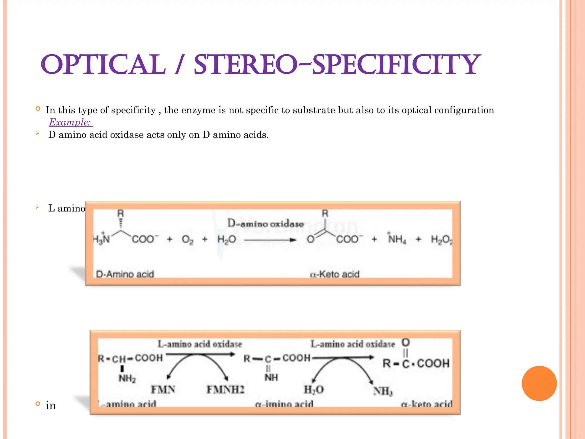 OPTICAL / STEREO-SPECIFICITY
 In this type of specificity , the enzyme is not specific to substrate but also to its optical configuration
Example:
 D amino acid oxidase acts only on D amino acids.
 L amino acid oxidase acts only on L amino acids.

in
 