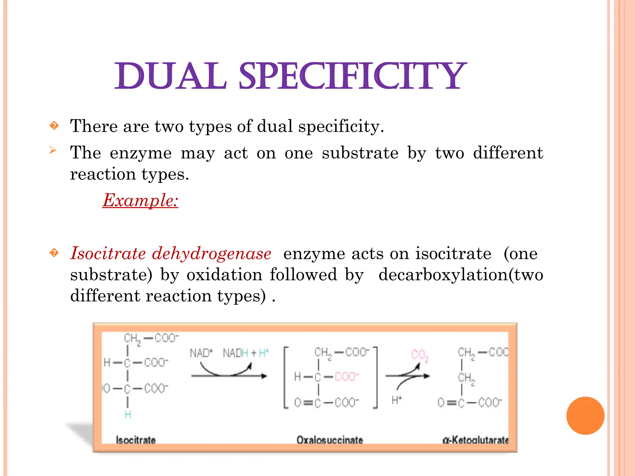 DUAL SPECIFICITY
� There are two types of dual specificity.
 The enzyme may act on one substrate by two different
reaction types.
Example:
� Isocitrate dehydrogenase enzyme acts on isocitrate (one
substrate) by oxidation followed by decarboxylation(two
different reaction types) .
 