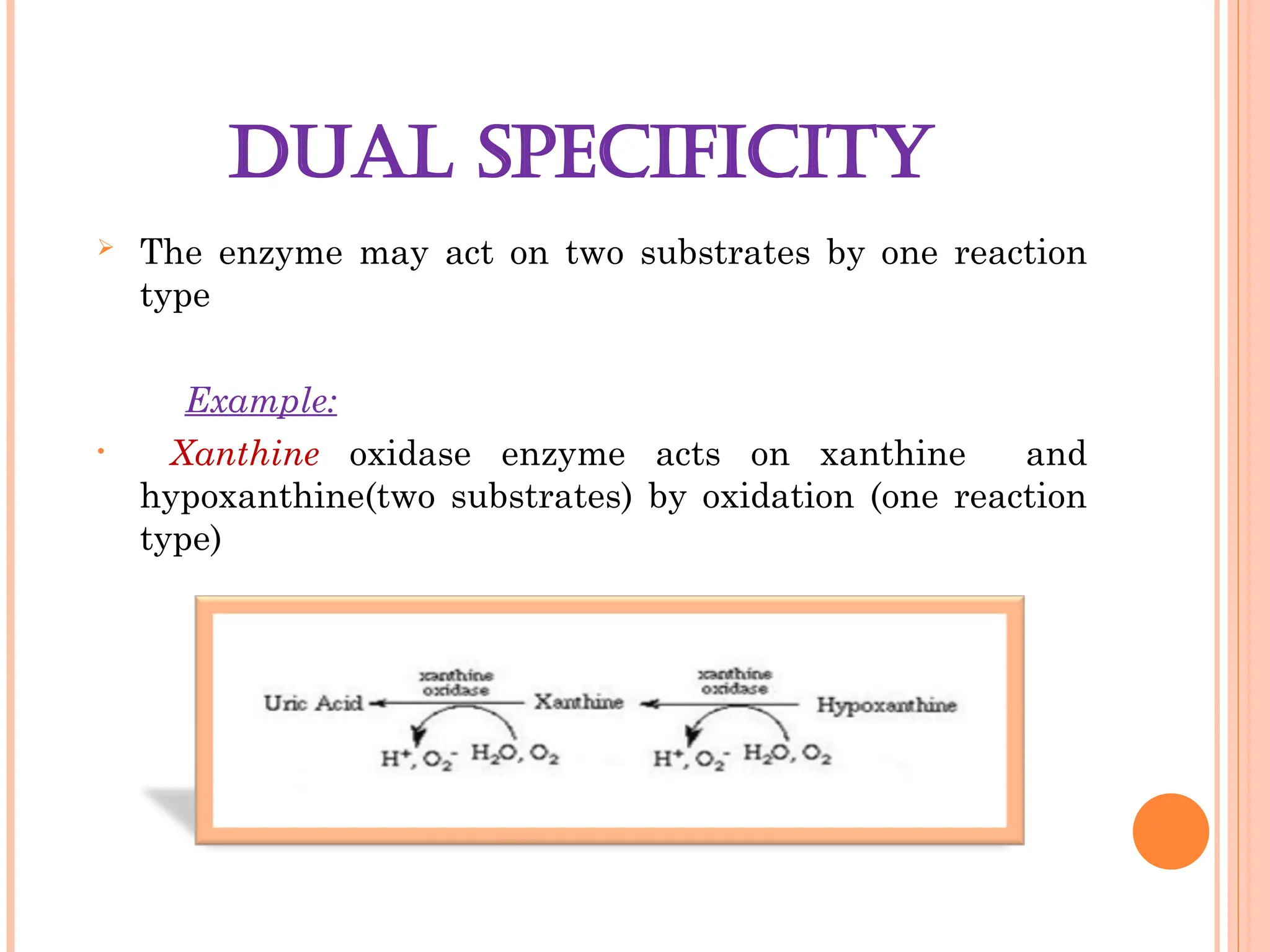  The enzyme may act on two substrates by one reaction
type
Example:
• Xanthine oxidase enzyme acts on xanthine and
hypoxanthine(two substrates) by oxidation (one reaction
type)
DUAL SPECIFICITY
 