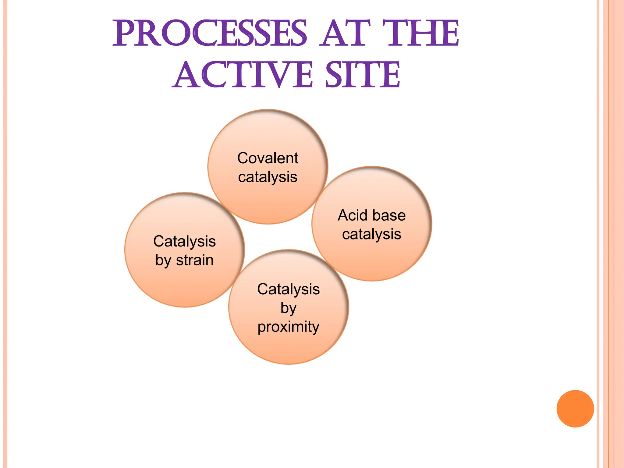 PROCESSES AT THE
ACTIVE SITE
Covalent
catalysis
Acid base
catalysis
Catalysis
by strain
Catalysis
by
proximity
 