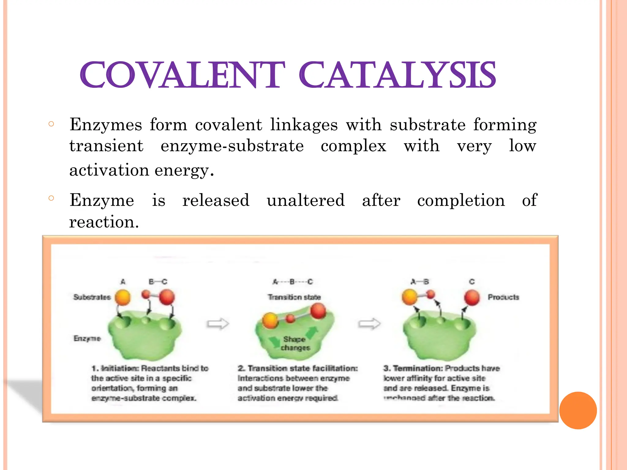 COVALENT CATALYSIS
o Enzymes form covalent linkages with substrate forming
transient enzyme-substrate complex with very low
activation energy.
o Enzyme is released unaltered after completion of
reaction.
 