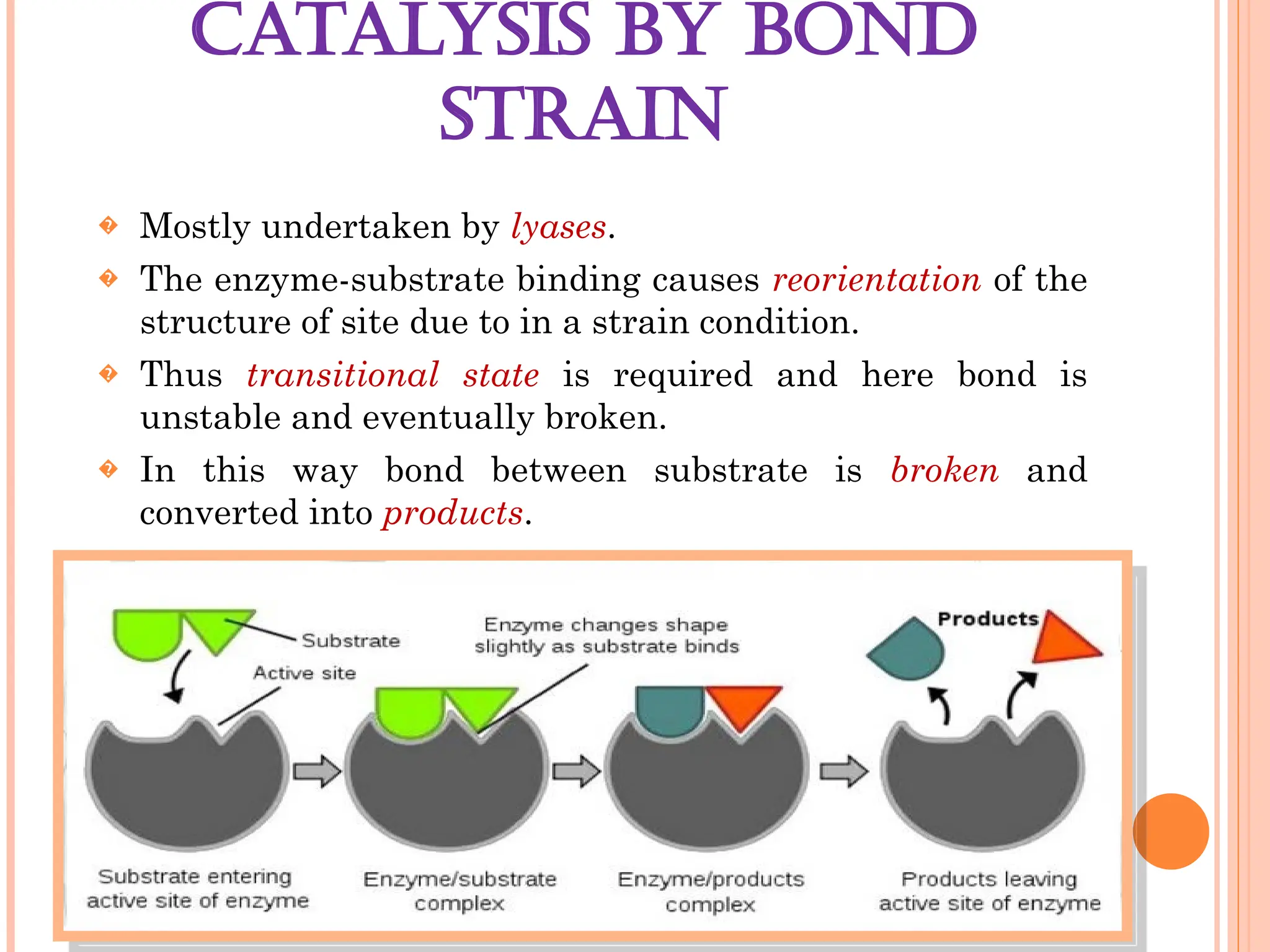 CATALYSIS BY BOND
STRAIN
� Mostly undertaken by lyases.
� The enzyme-substrate binding causes reorientation of the
structure of site due to in a strain condition.
� Thus transitional state is required and here bond is
unstable and eventually broken.
� In this way bond between substrate is broken and
converted into products.
 