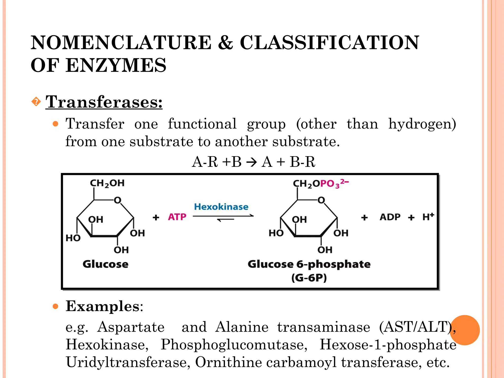 NOMENCLATURE & CLASSIFICATION
OF ENZYMES
� Transferases:
⚫ Transfer one functional group (other than hydrogen)
from one substrate to another substrate.
A-R +B A + B-R
🡪
⚫ Examples:
e.g. Aspartate and Alanine transaminase (AST/ALT),
Hexokinase, Phosphoglucomutase, Hexose-1-phosphate
Uridyltransferase, Ornithine carbamoyl transferase, etc.
 