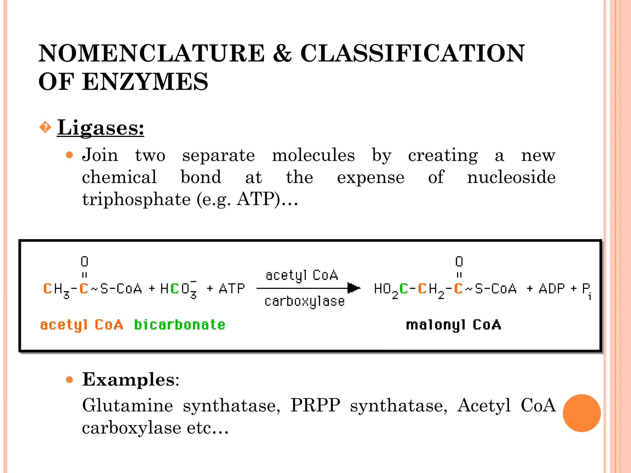 NOMENCLATURE & CLASSIFICATION
OF ENZYMES
� Ligases:
⚫ Join two separate molecules by creating a new
chemical bond at the expense of nucleoside
triphosphate (e.g. ATP)…
⚫ Examples:
Glutamine synthatase, PRPP synthatase, Acetyl CoA
carboxylase etc…
 