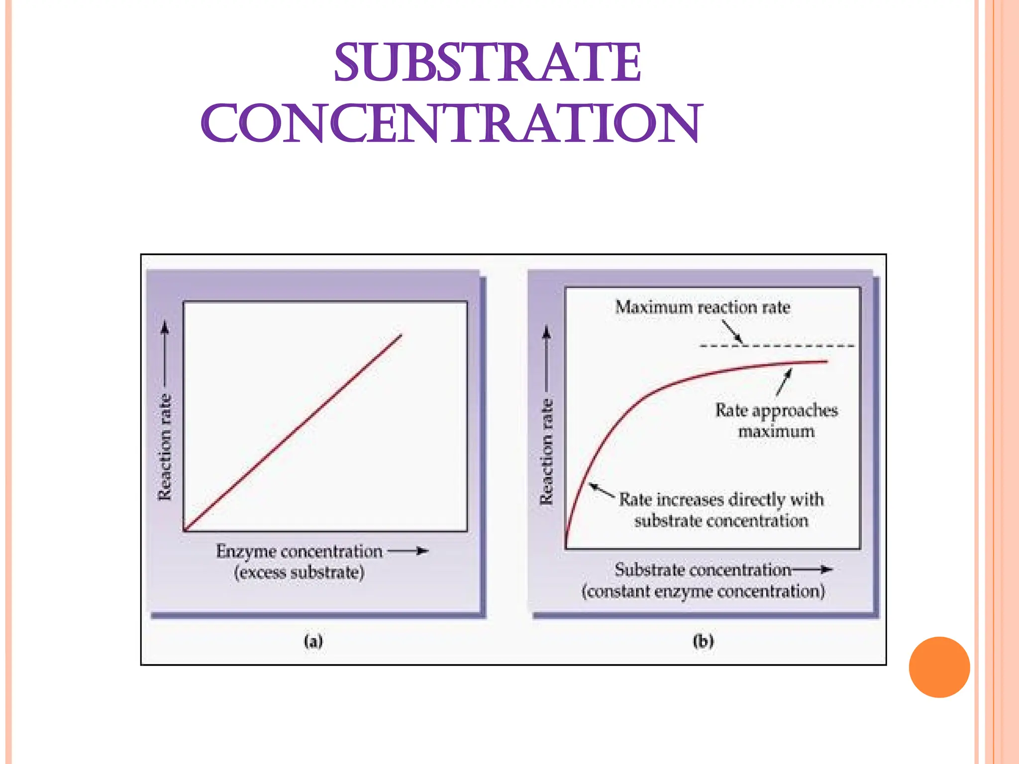 SUBSTRATE
CONCENTRATION
 