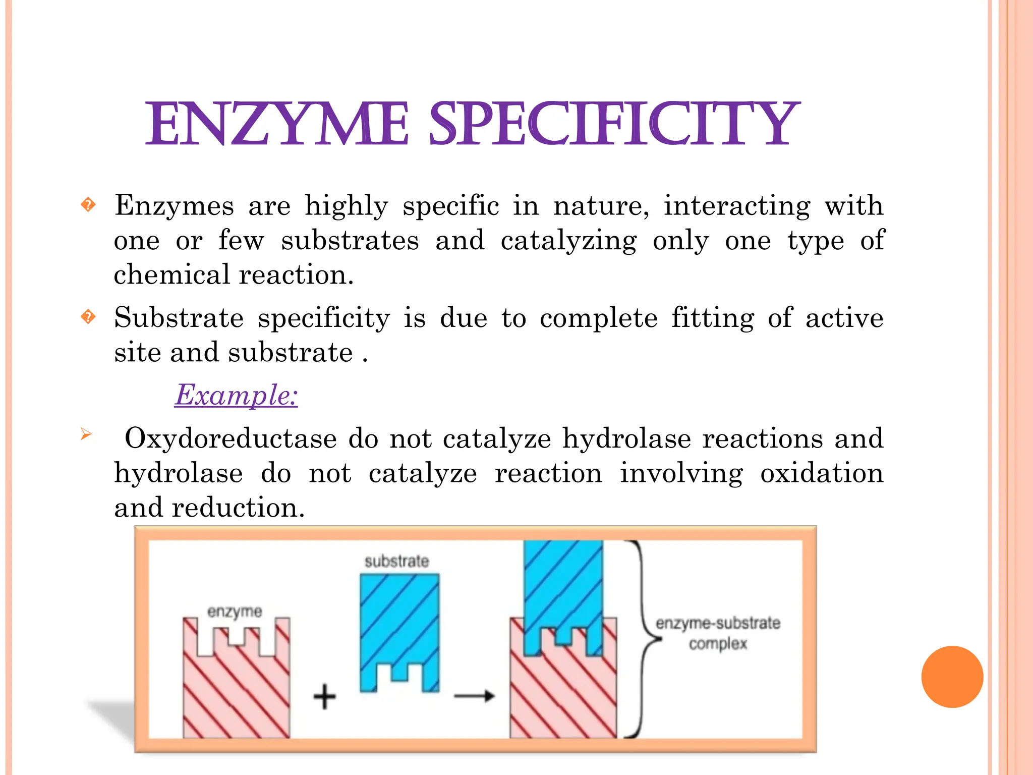 ENZYME SPECIFICITY
� Enzymes are highly specific in nature, interacting with
one or few substrates and catalyzing only one type of
chemical reaction.
� Substrate specificity is due to complete fitting of active
site and substrate .
Example:
 Oxydoreductase do not catalyze hydrolase reactions and
hydrolase do not catalyze reaction involving oxidation
and reduction.
 