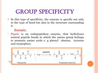 Group Specificity Example power point slide on ENZYME CHEMISTRY.ppt