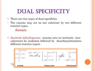 Reaction Specificity Example power point slide on ENZYME CHEMISTRY.ppt