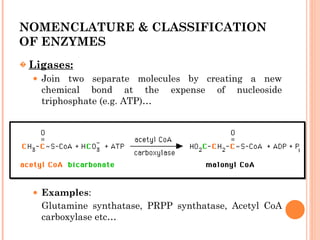 power point slide on ENZYME CHEMISTRY.ppt
