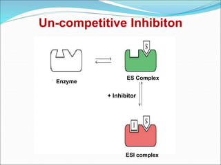 Enzyme 101 | PPT