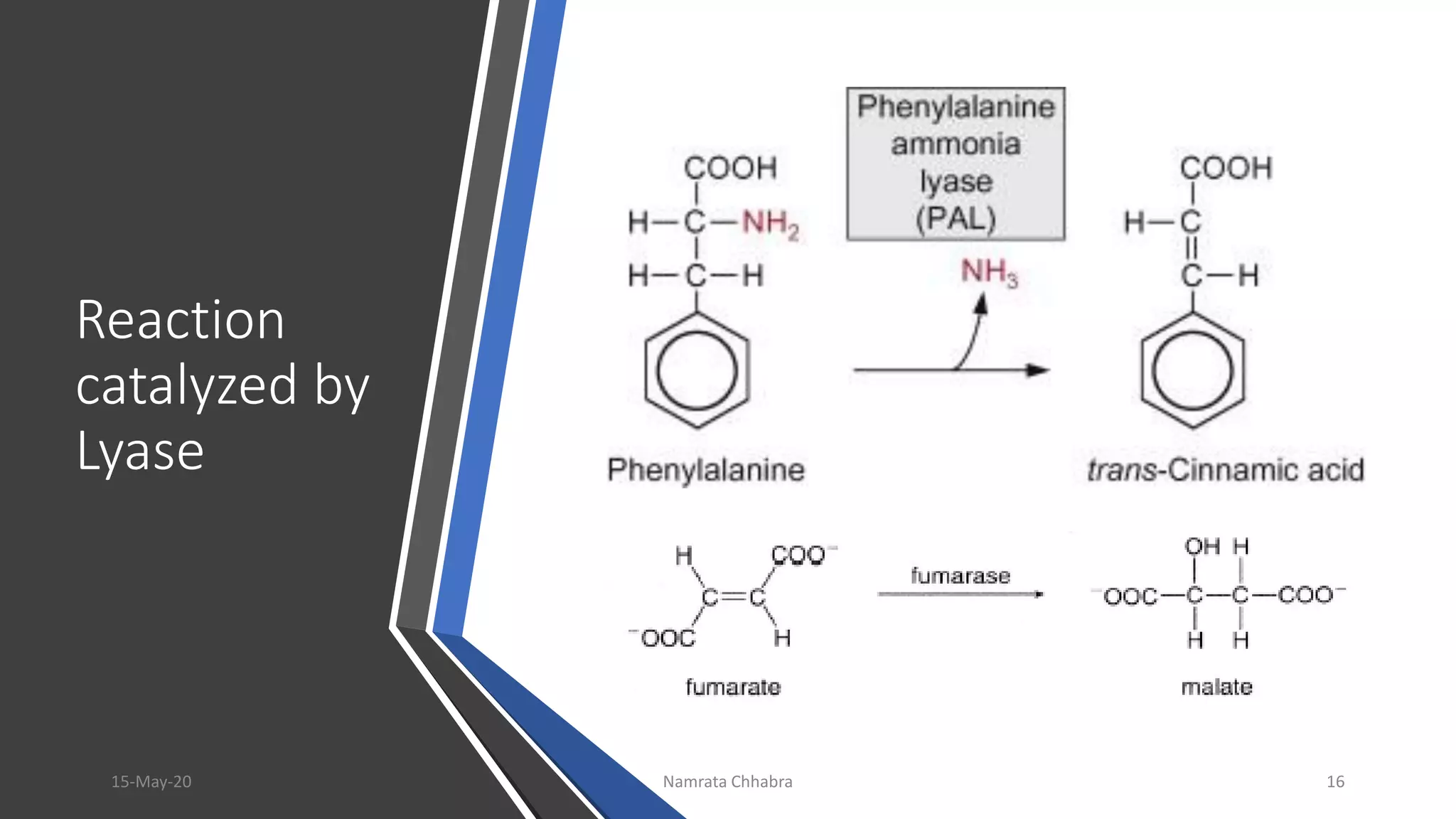 Reaction
catalyzed by
Lyase
15-May-20 Namrata Chhabra 16
 