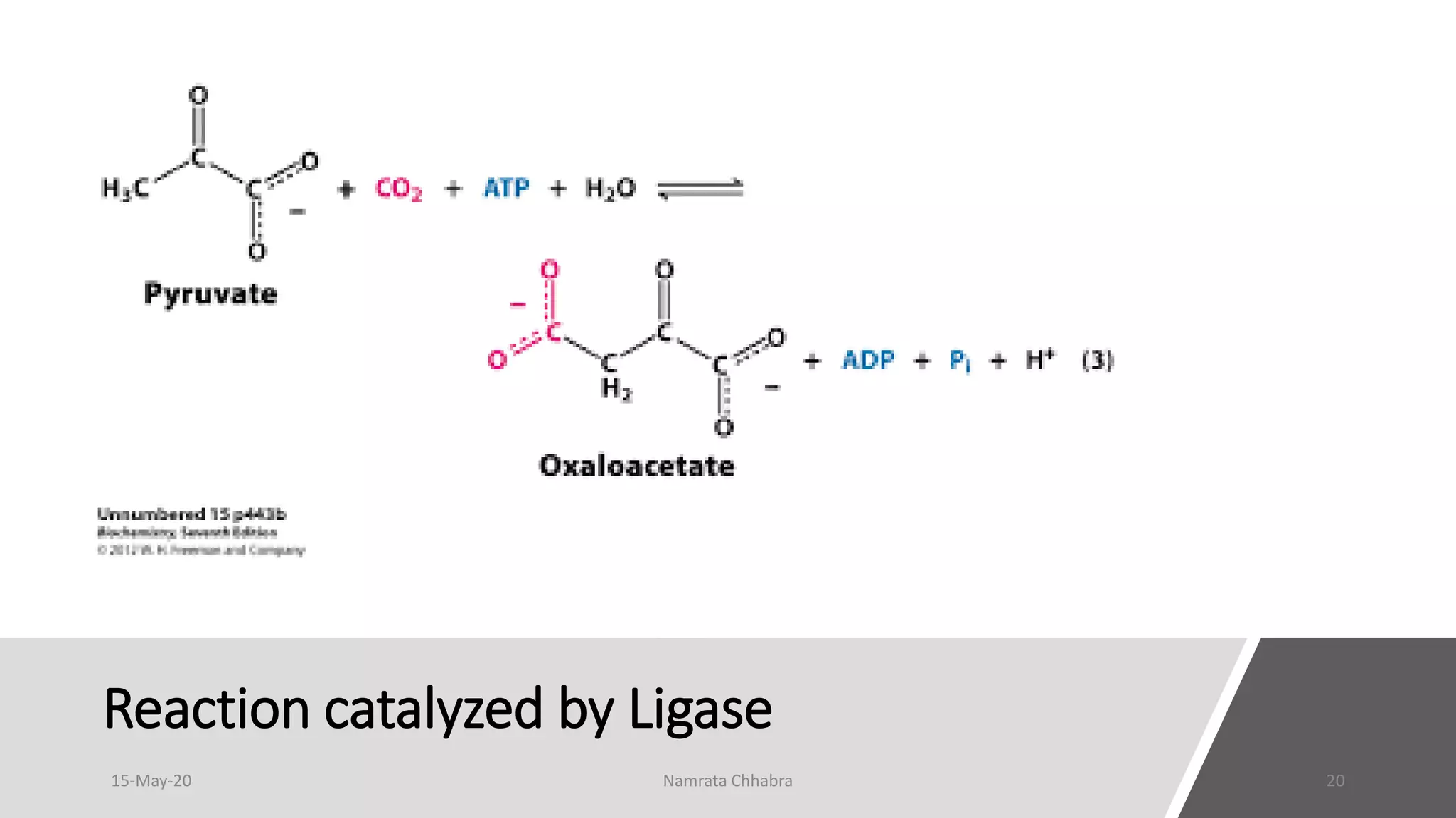 Reaction catalyzed by Ligase
15-May-20 Namrata Chhabra 20
 