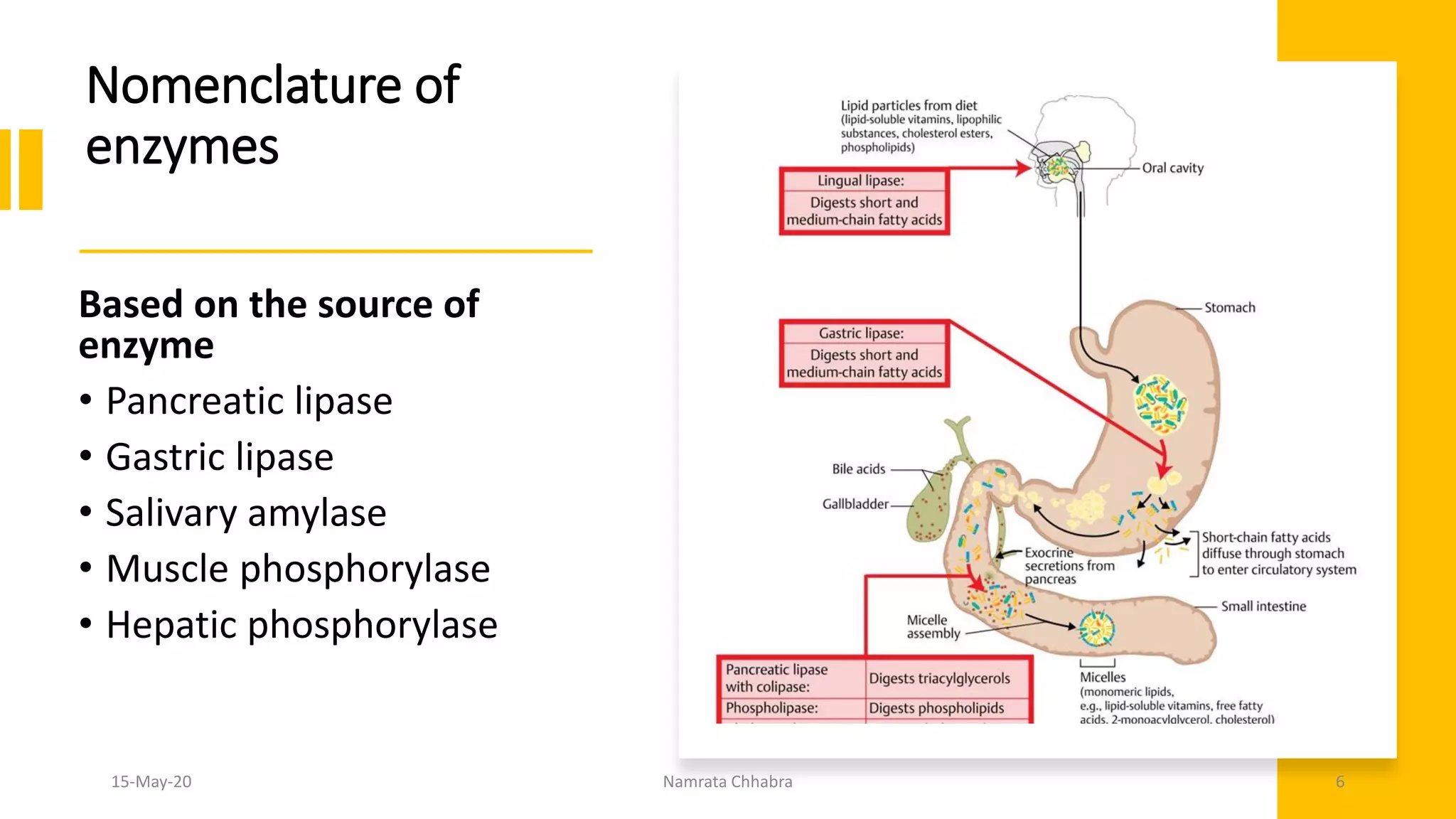 Nomenclature of
enzymes
Based on the source of
enzyme
• Pancreatic lipase
• Gastric lipase
• Salivary amylase
• Muscle phosphorylase
• Hepatic phosphorylase
15-May-20 Namrata Chhabra 6
 