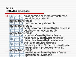 Enzyme classification (EC).ppt