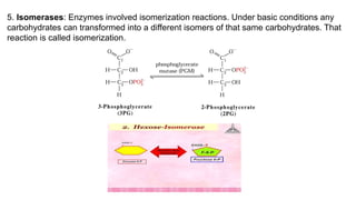 Enzyme Classification new.pptxjnmnmmnjjjjjjjnnn | PPTX