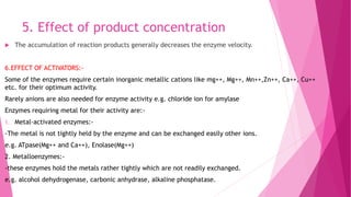 5. Effect of product concentration
 The accumulation of reaction products generally decreases the enzyme velocity.
6.EFFECT OF ACTIVATORS:-
Some of the enzymes require certain inorganic metallic cations like mg++, Mg++, Mn++,Zn++, Ca++, Cu++
etc. for their optimum activity.
Rarely anions are also needed for enzyme activity e.g. chloride ion for amylase
Enzymes requiring metal for their activity are:-
1. Metal-activated enzymes:-
-The metal is not tightly held by the enzyme and can be exchanged easily other ions.
e.g. ATpase(Mg++ and Ca++), Enolase(Mg++)
2. Metalloenzymes:-
-these enzymes hold the metals rather tightly which are not readily exchanged.
e.g. alcohol dehydrogenase, carbonic anhydrase, alkaline phosphatase.
 