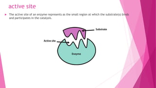 active site
 The active site of an enzyme represents as the small region at which the substrate(s) binds
and participates in the catalysis.
 